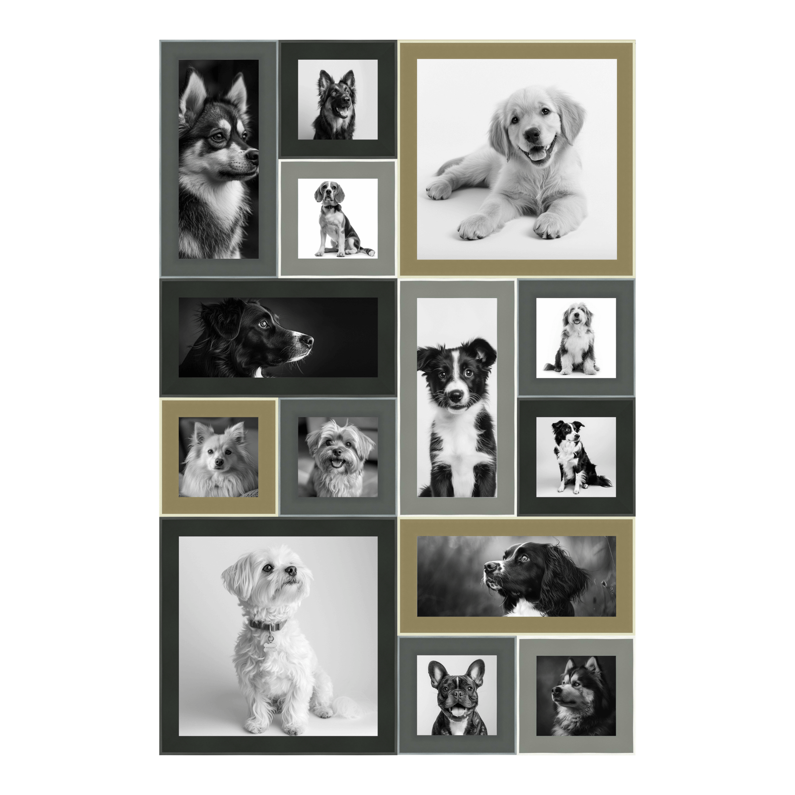 Magnetic Gallery Wall - 2x3 Feet