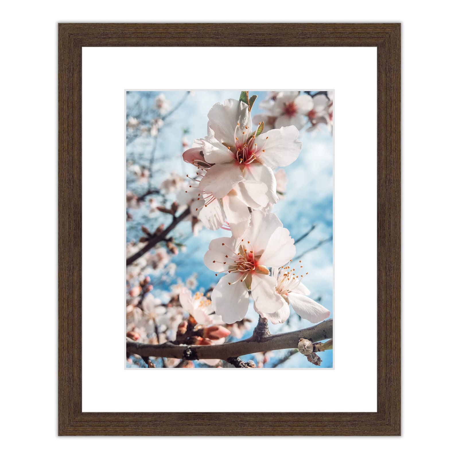 Los Angeles Frame - Solid Wood