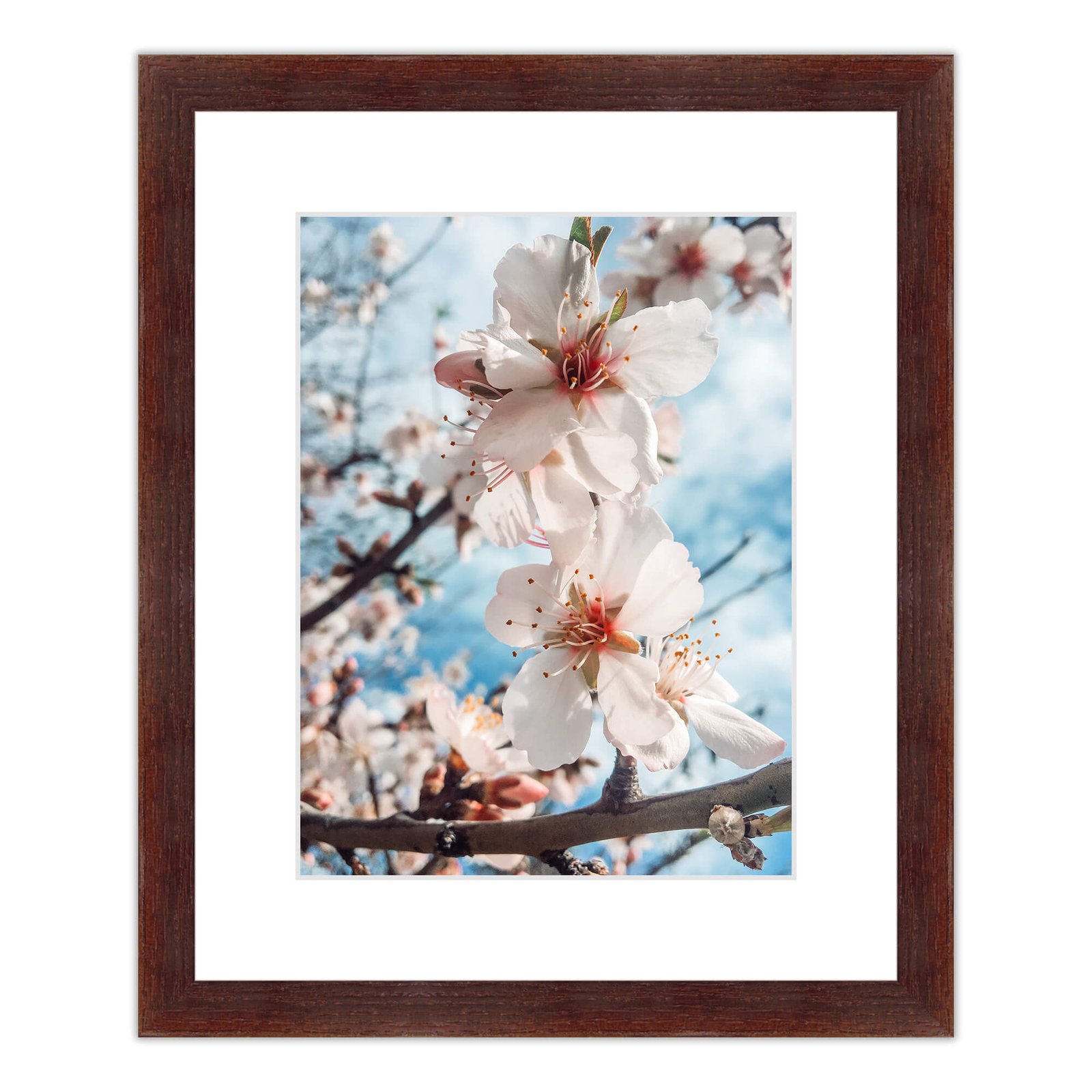 Los Angeles Frame - Solid Wood